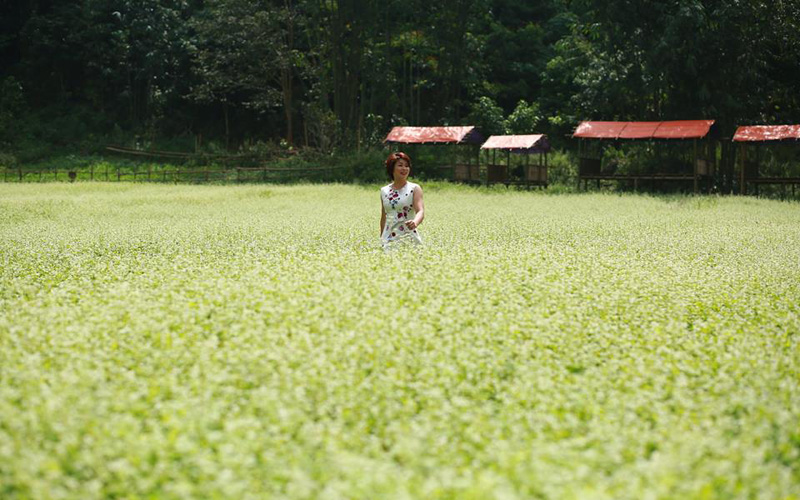 Thung lũng hoa Bắc Sơn nằm ở thôn Lân Khoang, xã Trấn Yên, huyện Bắc Sơn (Lạng Sơn) những ngày này trở nên thơ mộng và quyến rũ hơn bao giờ hết bởi những luống hoa bạt ngàn đa sắc màu khiến bất kỳ ai lạc vào cũng khó lòng rời bước. Ảnh: Tô Thị Thu Sen