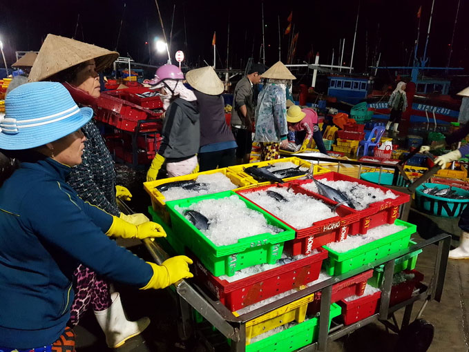 Ngoài các tiểu thương buôn bán sỉ, chợ cá còn là nơi tập trung người dân TP Phan Rang - Tháp Chàm và khách du lịch ghé thăm, mua lẻ. 