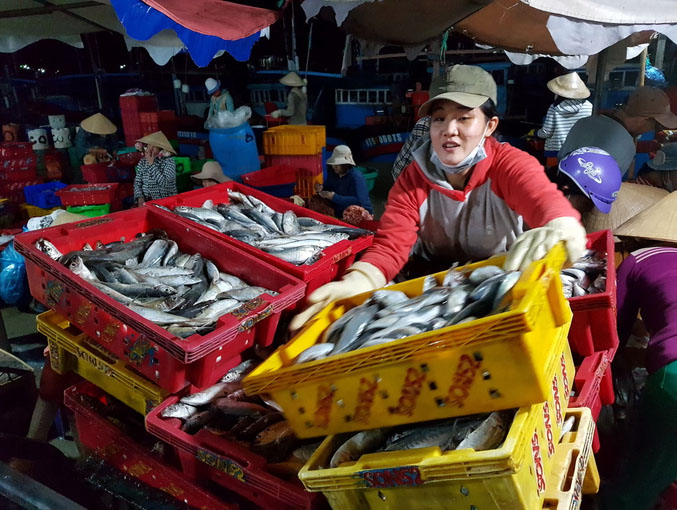 Cô gái trẻ mà các thương lái hay gọi tên thân mật Bé Ba làm nghề cửu vạn được 4 năm nay. Cô kể từng lên TP HCM đi học nhưng do nhà nghèo phải quay về với bến cá mưu sinh.