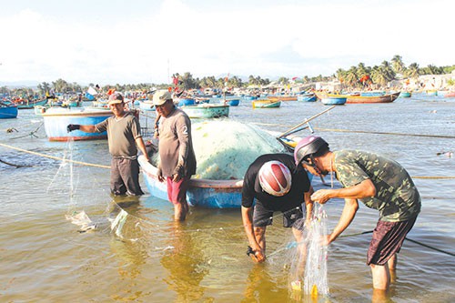 Người dân giăng lưới bắt cá đối.