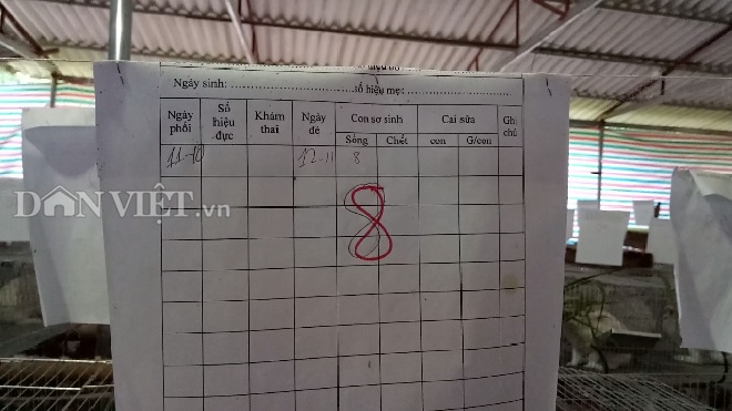 Tại trại thỏ của vợ chồng chị Tòng Thị Thơm, hàng ngày, có sổ ghi chép, theo dõi ngày đẻ, tỷ lệ sống sót.