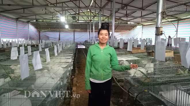 Bước đầu chọn thỏ, bỏ heo, gia đình chị Tòng Thị Thơm tạm yên tâm mới mô hình chăn nuôi mới.