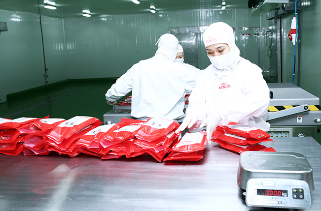 Từ ngày 7.12, Công ty TNHH Liên doanh Thực phẩm Mavin (Mavin Foods) – thành viên của Tập đoàn Mavin chính thức cung cấp sản phẩm thịt heo sạch ra thị trường theo mô hình chăn nuôi khép kín.