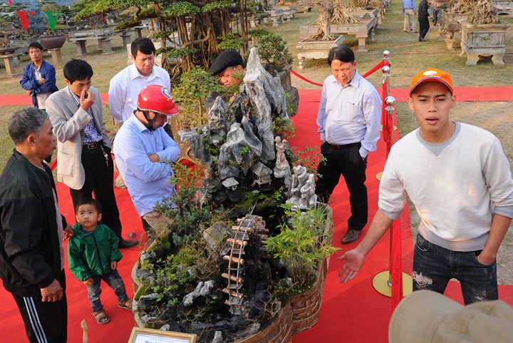 Tiểu cảnh mang tên 