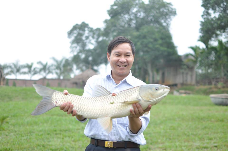 mot ngay lam nong dan sieu suong o trang trai ngoai o hinh anh 18