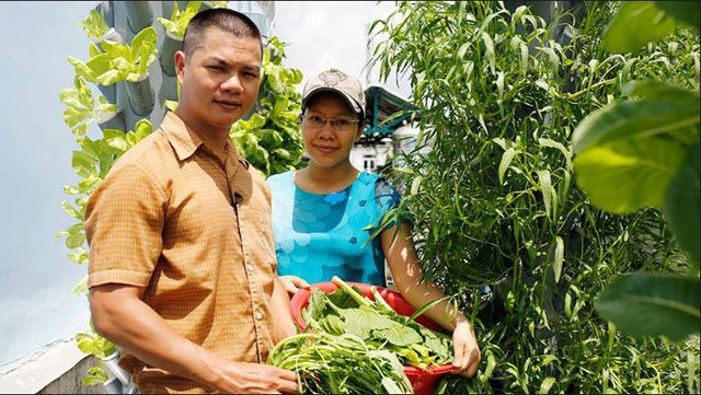 tro chuyen cung sieu nong dan pho trong rau kieu 