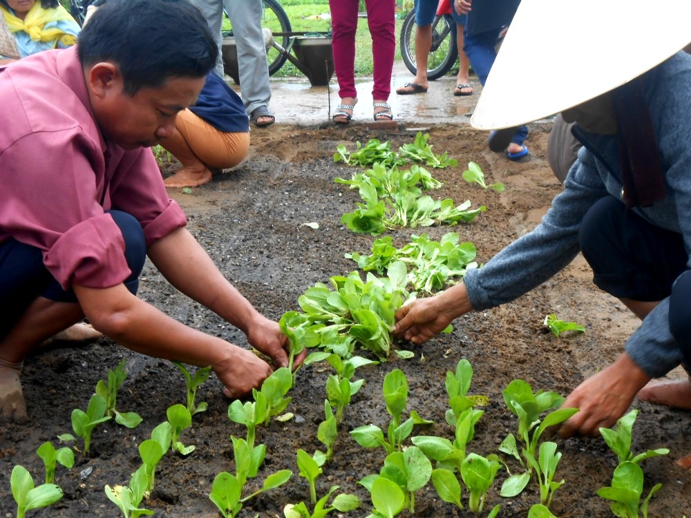 Những người trồng rau trong làng sẽ hướng dẫn du khách cách trồng trọt, chăm sóc, thu hoạch rau