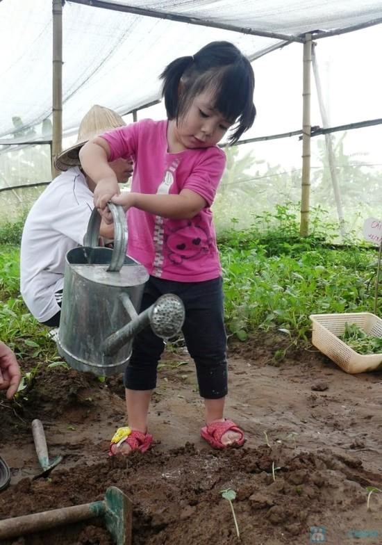 Những hoạt động thực tế sẽ tạo nên thời gian vui vẻ cho mỗi gia đình, góp phần tạo ra những kỷ niệm tuổi thơ thú vị, đáng nhớ cho các bé.