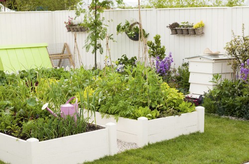 Ngay cả vườn rau cũng nên có “phong cách” riêng như vườn rau này: tông trắng làm chủ đạo ăn khớp với sắc xanh tươi mát.