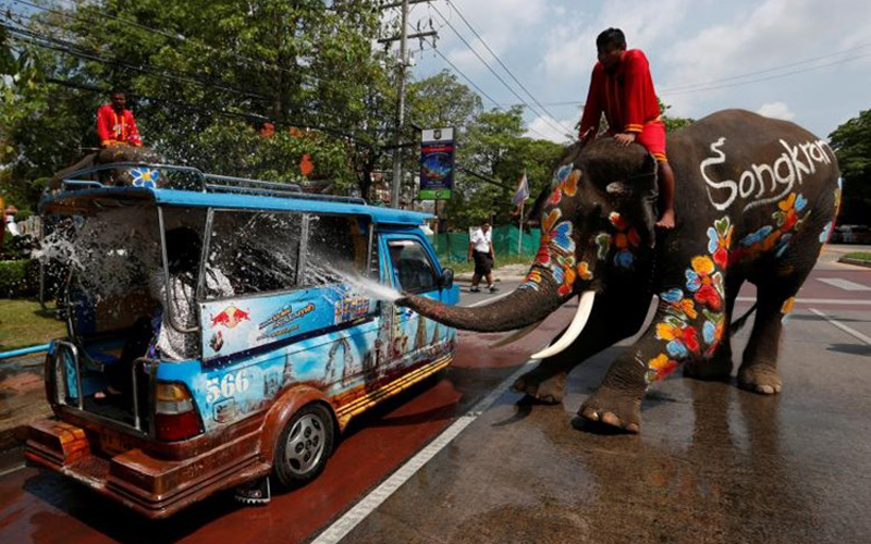  Chú voi phun nước vào khách du lịch trong lễ hội té nước Thái Lan ở tỉnh Ayutthaya, miền bắc nước này.
