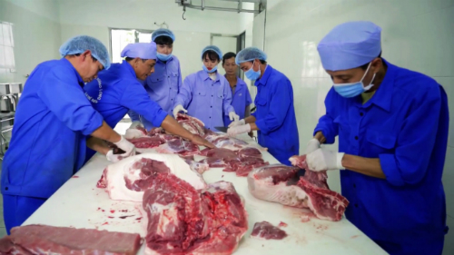 Quy trình giết mổ thịt lợn được thực hiện tại khu vực riêng. Ảnh: Bizmedia.