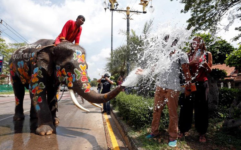 Chú voi phun nước vào du khách trong lễ té nước Songkran trên đảo Koh Samui.