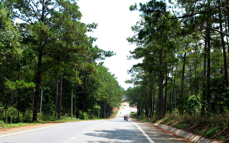 Vùng du lịch sinh thái quốc gia Măng Đen, huyện KonPlông (Kon Tum) từ lâu được du khách ví là thiên đường nghỉ dưỡng. Từ trung tâm TP Kon Tum, du khách có thể đi ôtô hoặc xe máy đi trên quốc lộ 24 về phía đông bắc 54 km.