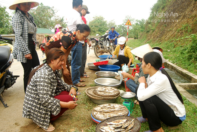 Cá mòi sông Lam tươi, nướng được bán nhiều ở cả các chợ, nhưng tươi ngon nhất vẫn là ở các bến sông gần làng vạn chài.