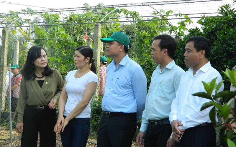 Thăm quan mô hình vườn kiểu mẫu của chị Nguyễn Thị Thuận ở Yên Mỹ thu nhập hơn 60 triệu đồng/năm
