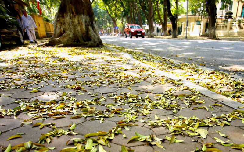 Bạn sẽ được trải nghiệm cảm giác như đang sống chậm lại giữa guồng quay không ngừng của cuộc sống.