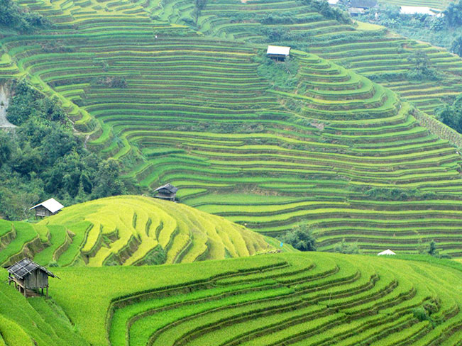 Bản Lìm Mông.