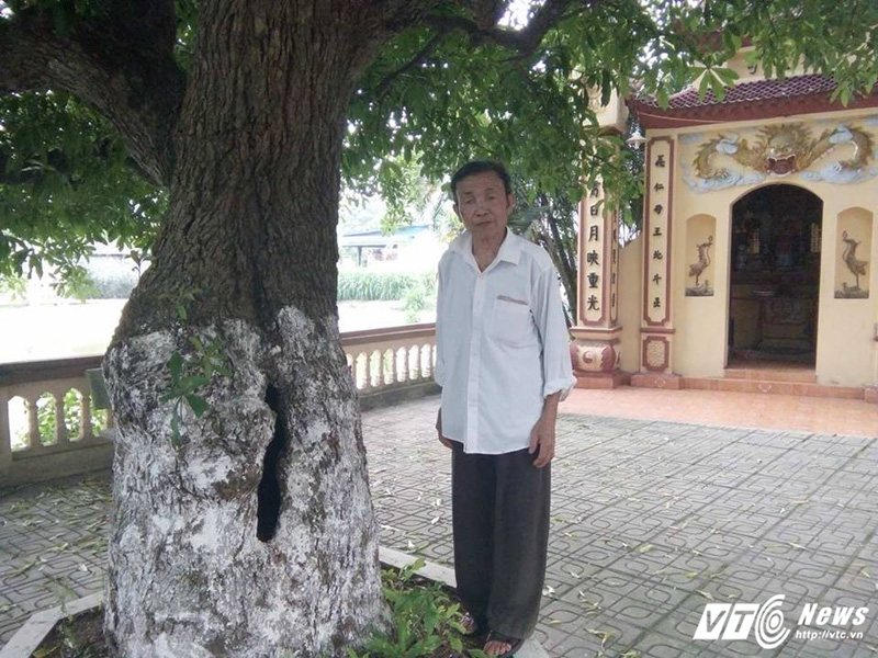 Ông Nguyễn Văn lan - Trưởng ban đi tích thôn Hoành bên cây 