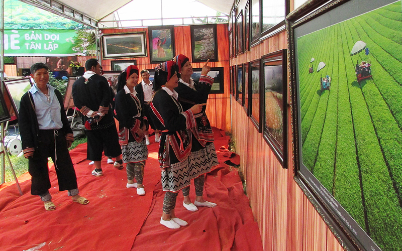 Lễ Hội Trà Mộc Chau 2017 còn triển lãm nhiều tác phẩm văn học, hội họa, nhiếp ảnh… về cây chè Mộc Châu