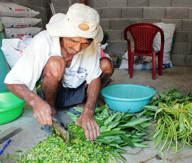 Công nhân đang chế biến thức ăn cho gà rừng.