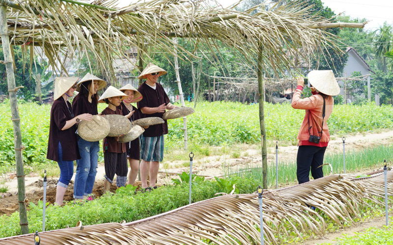 Thời gian gần đây, làng rau Trà Quế cách phố cổ khoảng 3 km trở thành điểm đến hấp dẫn du khách. Nơi này là nguồn cung cấp rau cho các món ăn đặc trưng ở Hội An như mì Quảng, cao lầu… Ảnh: Duy Linh.