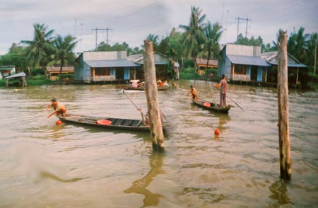 Người dân vùng sông nớc miền Tây giăng lưới bắt cá đồng.