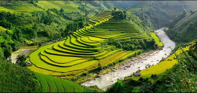 Chế Cu Nha.