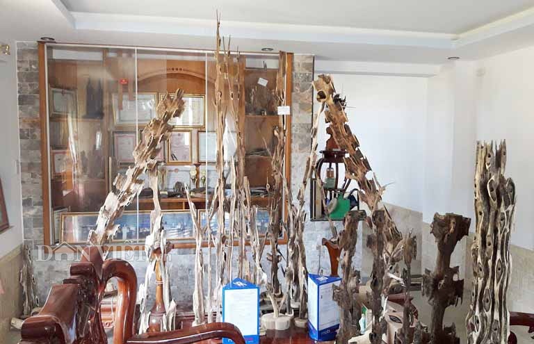 Phòng khách gia đình của người nông dân thành nơi trưng bày sản phẩm từ trầm hương