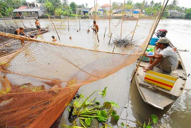 Thương lái ngồi chờ để thu mua cá.