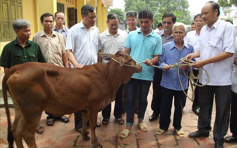 Đồng chí Nguyễn Công Thao – Phó Chủ tịch HND tỉnh (thứ 3 từ trái sang) trao tặng bò sinh sản cho hội viên nông dân nghèo tại xã Yên Phụ, huyện Yên Phong