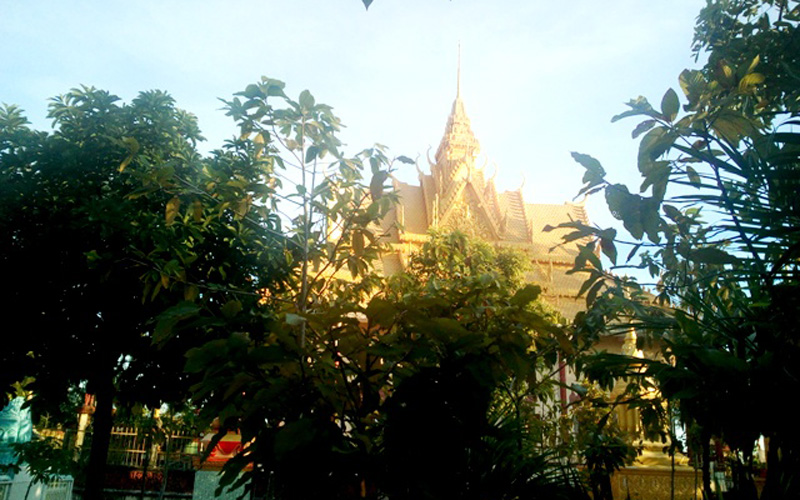 Chánh điện chùa ẩn khuất sau hàng cây xanh nổi bật với màu vàng đặc trưng của chùa Khmer Nam Bộ.