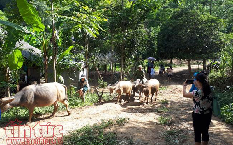 Du khách có dịp đi trekking trên những đường quanh bản. Với nhiều du khách thành phố, đó là những trải nghiệm thú vị về cuộc sống đồng bào dân tộc.