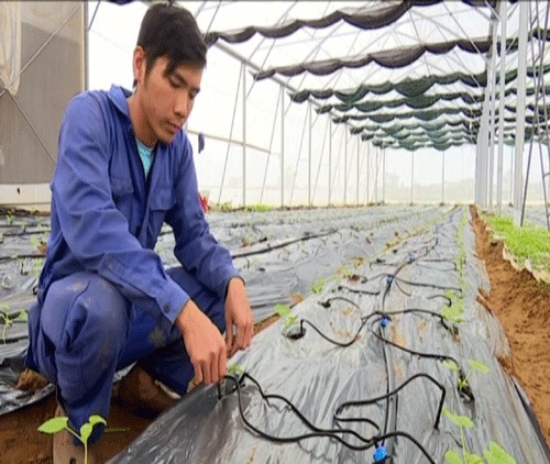 Mô hình sản xuất nông nghiệp công nghệ cao của thanh niên tỉ phú Hoàng Văn Hướng- xã Diễn Thành