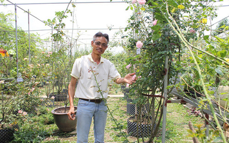 Ông Hùng cho biết, bản thân là người đam mê và dành tình yêu đặc biệt cho cây cảnh và hoa hồng. Vào khoảng những năm 1996, 1997, ông đã bỏ công sức sưu tập và tìm hiểu về các loại hoa hồng của Việt Nam và trên thế giới.