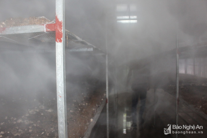 Để duy trì nhiệt độ, độ ẩm cho nhà trồng nấm, Thuận tìm mua và lắp đặt máy phun sương siêu âm. Ảnh: Đào Tuấn