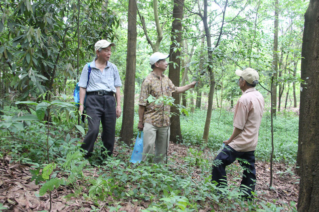 Ông Nguyễn Khánh Xuân (bìa trái) sau 8 năm mới trở lại Vườn thực vật Hà Nội. Trong ảnh, ông cùng 2 nhà khoa học đang quan sát sự phát triển của từng cây trong Vườn.