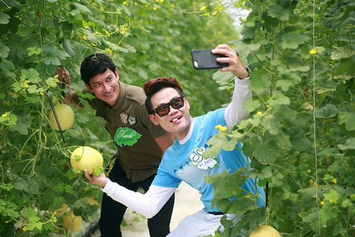 Huy Khánh và MC Hồng Phúc cùng tạo dáng chụp ảnh kỷ niệm với những quả dưa lưới sạch được trồng trong nhà kính.