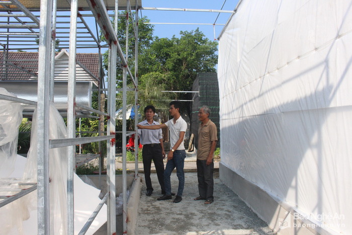 Thừa thắng xông tới, Phạm Hùng Thuận và bố mình tiếp tục đầu tư xây dựng thêm 3 nhà trồng nấm bông mới, mỗi gian nhà có tổng kinh phí gần 80 triệu đồng. Ảnh: Nhật Lâ