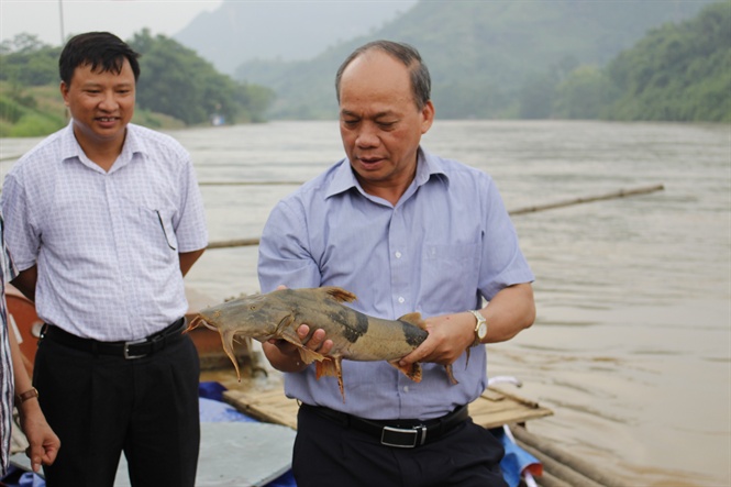 Thứ trưởng Vũ Văn Tám kiểm tra nuôi cá lồng tại huyện Hàm Yên, Tuyên Quang.