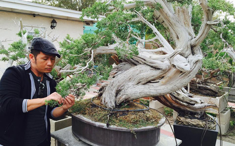 Chàng ca sĩ chăm chút từng li, từng tí cho chậu bonsai của mình.