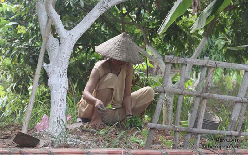 Hiện nay, anh đang trồng các loại rau trong vườn. Sắp tới anh sẽ cải tạo khu vườn của mình thực hiện trồng thủy canh rau xanh.