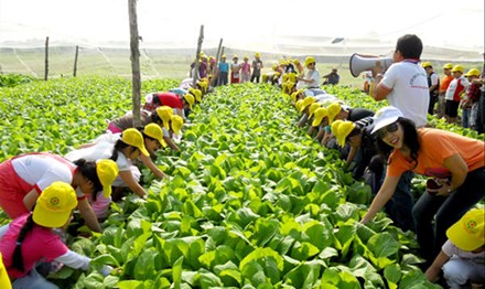 Mô hình du lịch sinh thái nông nghiệp tại EraHouse (Long Biên, Hà Nội).