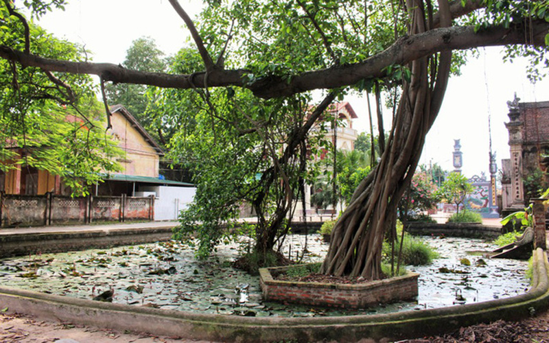 Làng Nôm hiện lên hệt như những gì người ta vẫn hình dung về làng Việt cổ: có giếng nước, cây đa, sân đình, cầu ao ven hồ, chợ phiên và đặc biệt là ngôi chùa Nôm xây dựng từ năm 1680.