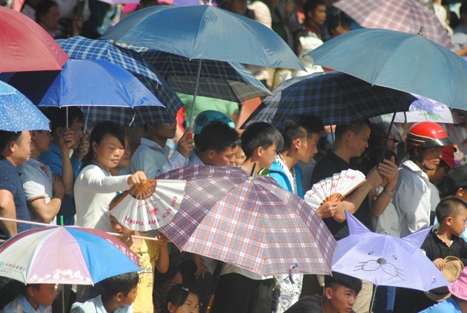 Hàng vạn du khách đứng cầm ô đứng dưới trời nắng như thiêu đốt, hồi hộp chờ đợi giây phút chiến mã tung vó