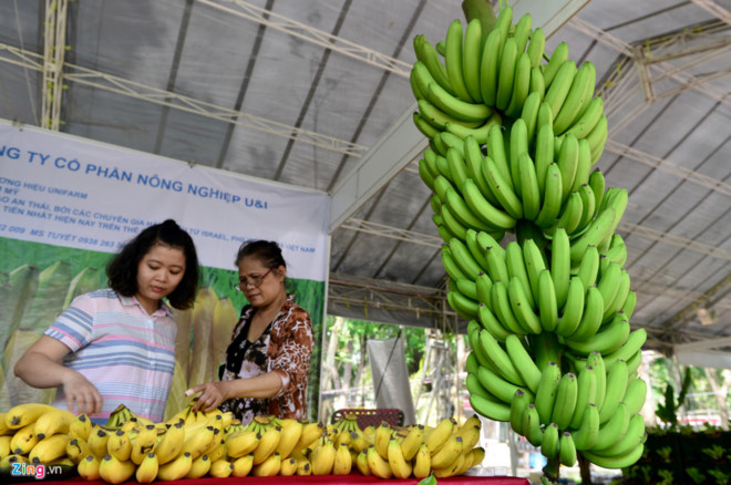 Nhiều đại biểu mong muốn ngành nông nghiệp Thành phố sẽ đầu tư vào lĩnh vực nông nghiệp công nghệ cao. Ảnh: Lê Quân.