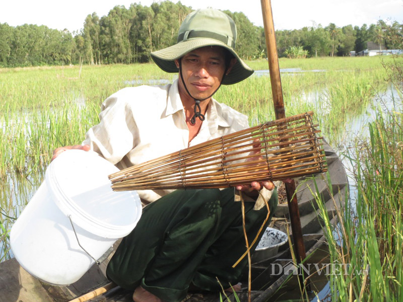 Loại xà di bắt cá rô.