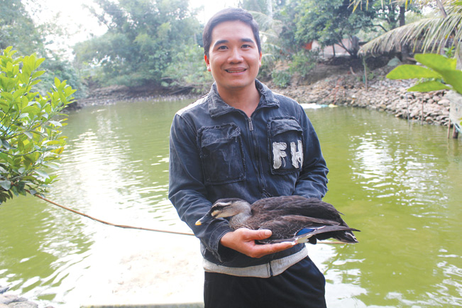 Anh Khương là người đầu tiên ở tỉnh Quảng Ninh áp dụng thành công mô hình nuôi vịt trời bán hoang dã.