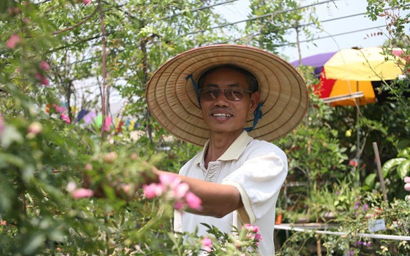 Ông Đào Mạnh Hùng sinh năm 1961 tại Tam Hiệp, Thanh Trì, Hà Nội đang sở hữu một vườn hồng có trên 2 vạn gốc và được cho là vườn hồng lớn nhất Hà Nội.