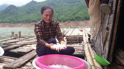 Chị Nguyễn Thị Dung - người dân tại địa phương kể cho phóng viên nghe về loài cá ngần trong suốt rất lạ và chỉ xuất hiện vào những ngày cuối tháng 6.