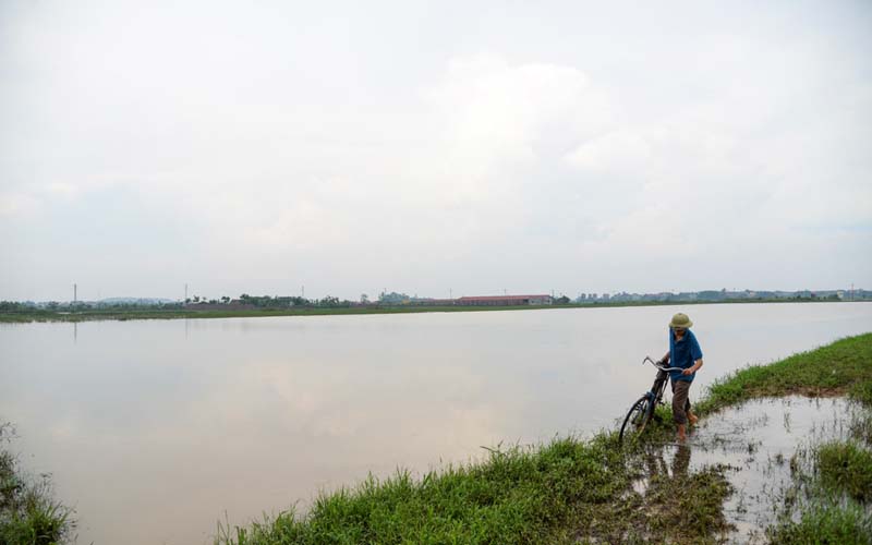 Theo người dân ở xã Tam Đồng, lần đầu tiên địa phương này xảy ra tình trạng trên. Những năm trước chỉ mưa vài ngày là nước rút.